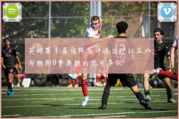 英超赛季最佳阵容评选出炉拉亚加布赖斯B费奥赖利无可争议